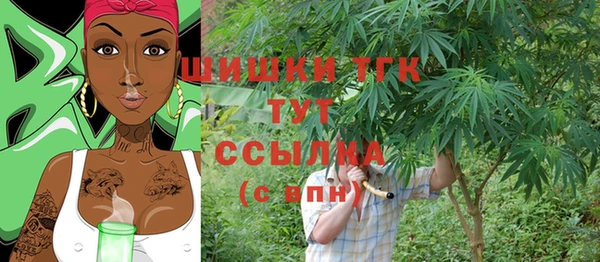 эйфоретик Ельня
