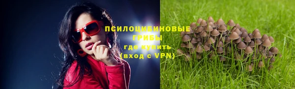 эйфоретик Ельня