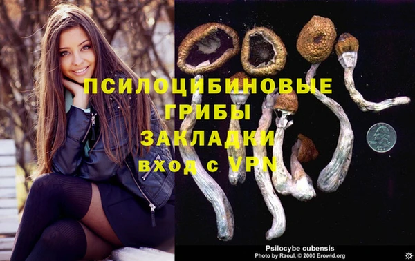 ECSTASY Елабуга