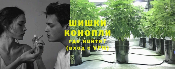 эйфоретик Ельня