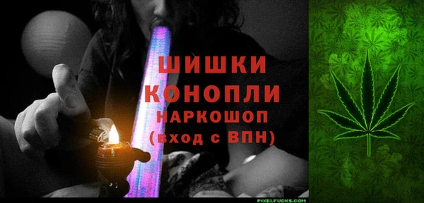 эйфоретик Ельня
